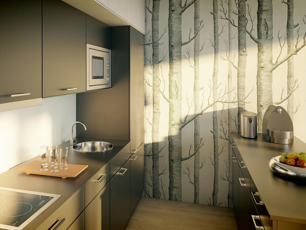 Apartmán Krásná Lípa č. 1 Krasna Lipa Exterior foto
